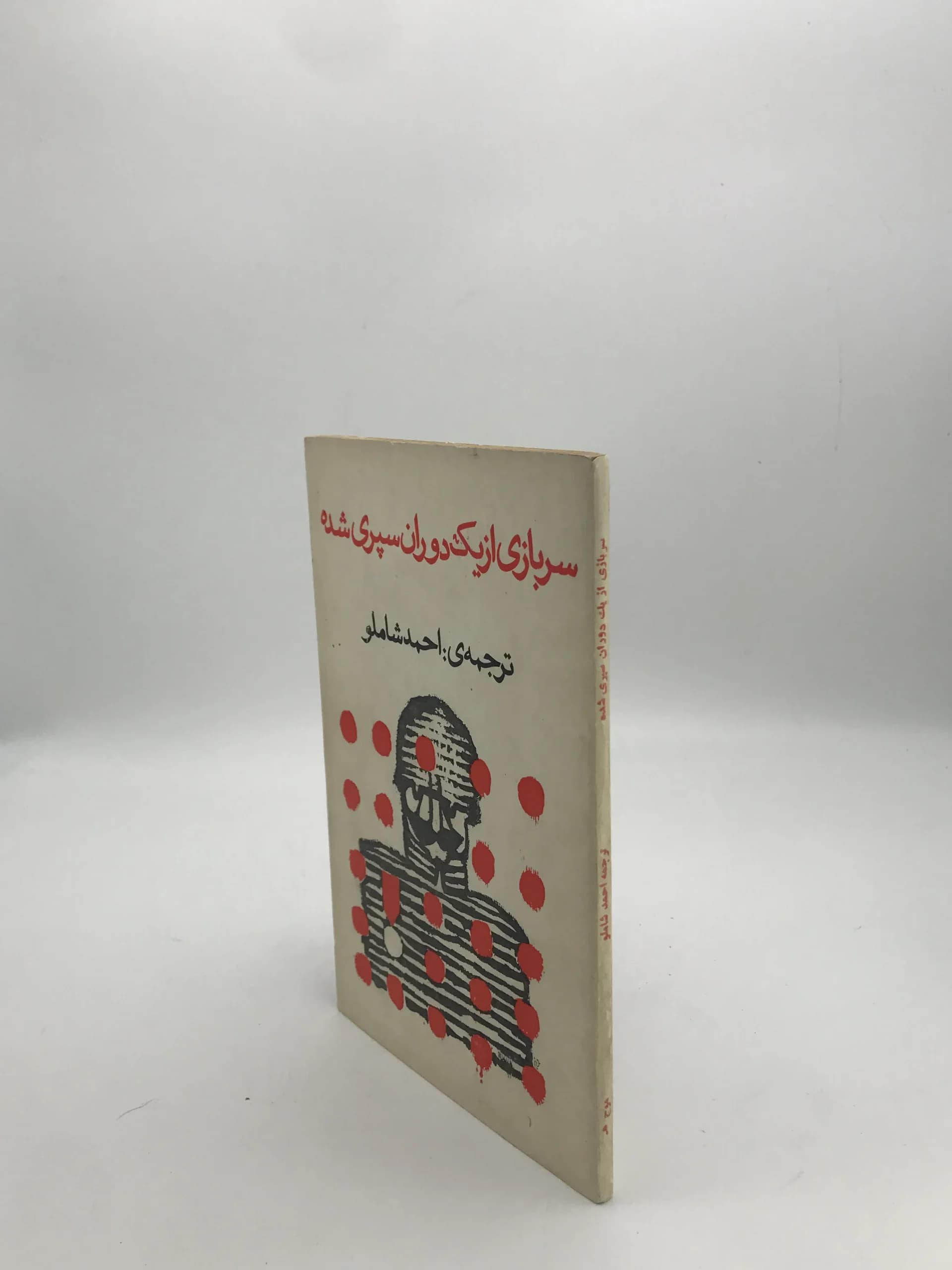 سربازی از یک دوران سپری شده — تصویر ۳