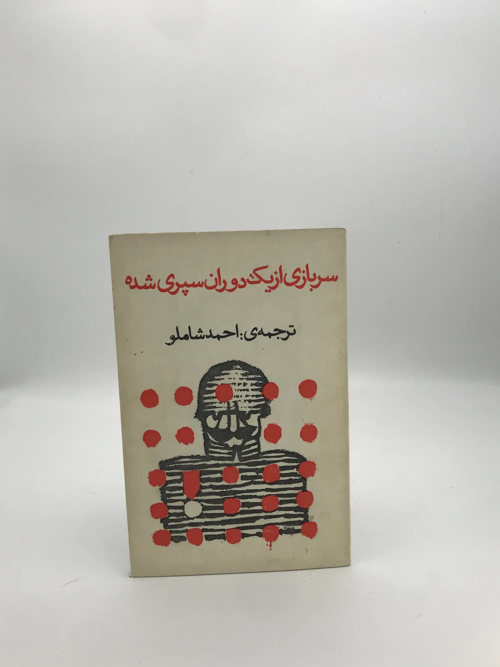 سربازی از یک دوران سپری شده — تصویر ۲