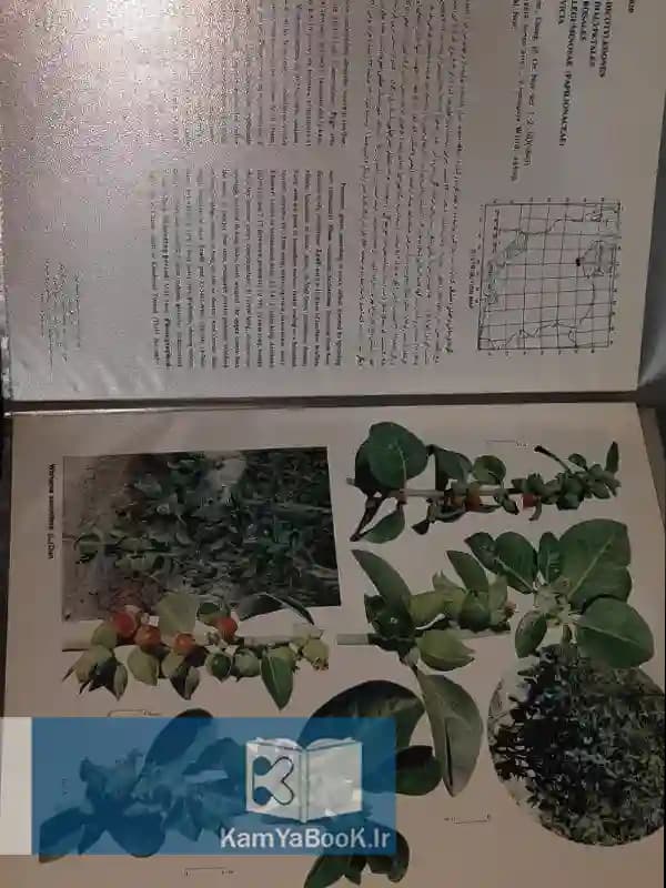 فلور ایران اثر دکتر احمد قهرمان (مصور گلاسه) — تصویر ۲