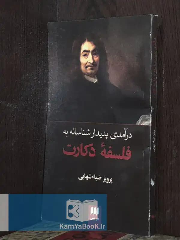 درآمدی پدیدار شناسانه به فلسفه دکارت