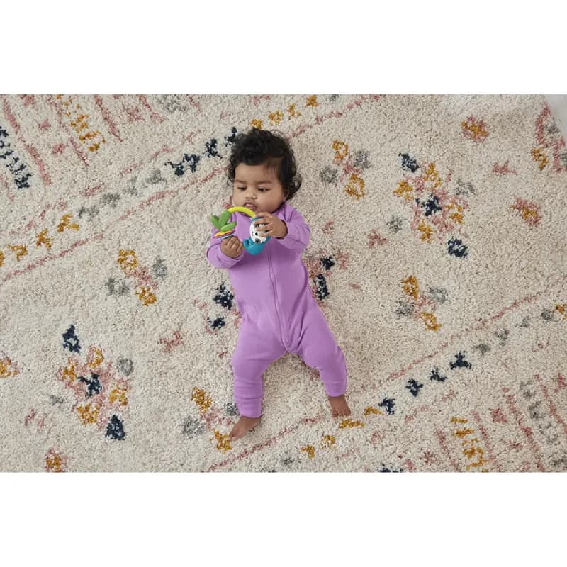 جغجغه دندان برند فیشر پرایس — تصویر ۵