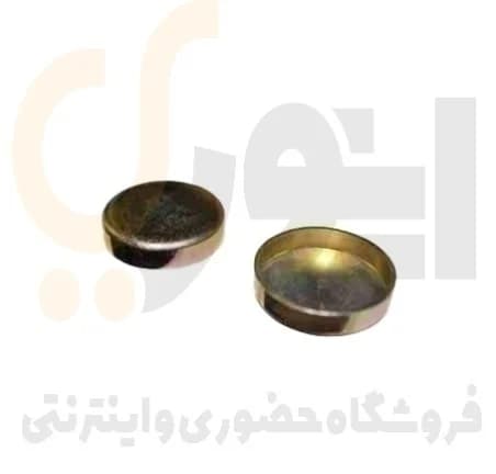 پولکی آب کوچک