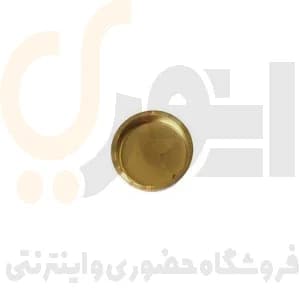 پولکی آب بزرگ