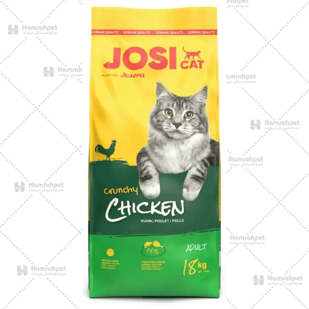 غذا خشک گربه جوسی کت با طمع مرغ (فله)