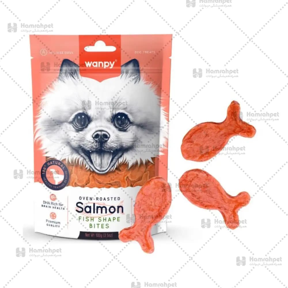 تشویقی سگ ونپی با طعم سالمون و پوست ماهی Salmon Fish Shape Bites وزن 100 گرم