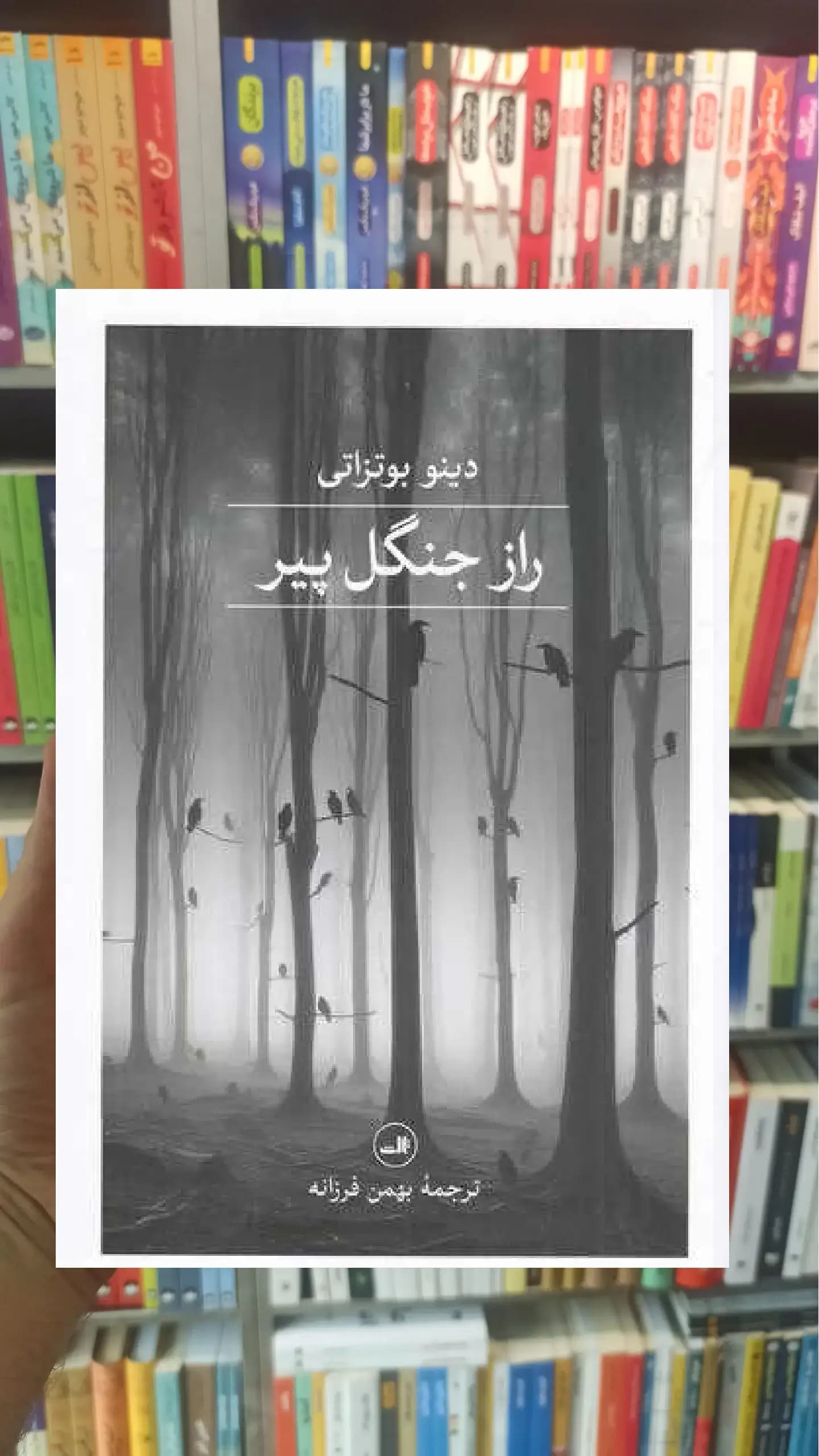 راز جنگل پیر ثالث