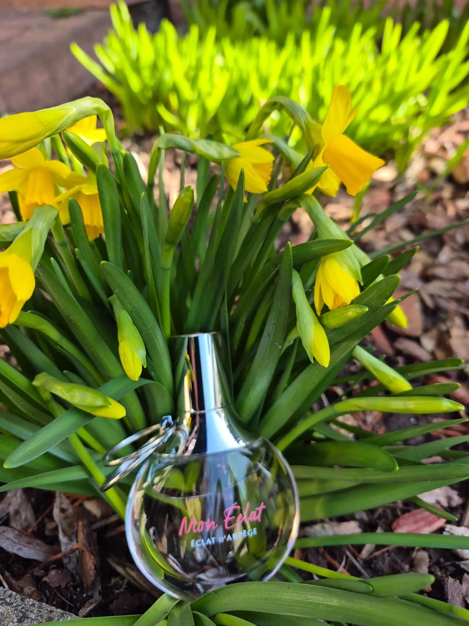 عطر ادکلن لانوین اکلت د ارپج مون اکلت اصل | Lanvin Éclat d’Arpège Mon Éclat — تصویر ۶