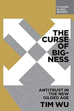 و دانلود نسخه کامل کتاب زبان اصلی The Curse of Bigness: Antitrust in the New Gilded Age | دانلود کتاب خارجی
