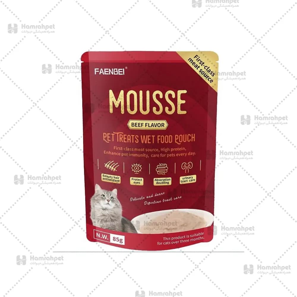 موس گربه فنبی Faenbei طعم گوشت وزن 85 گرم