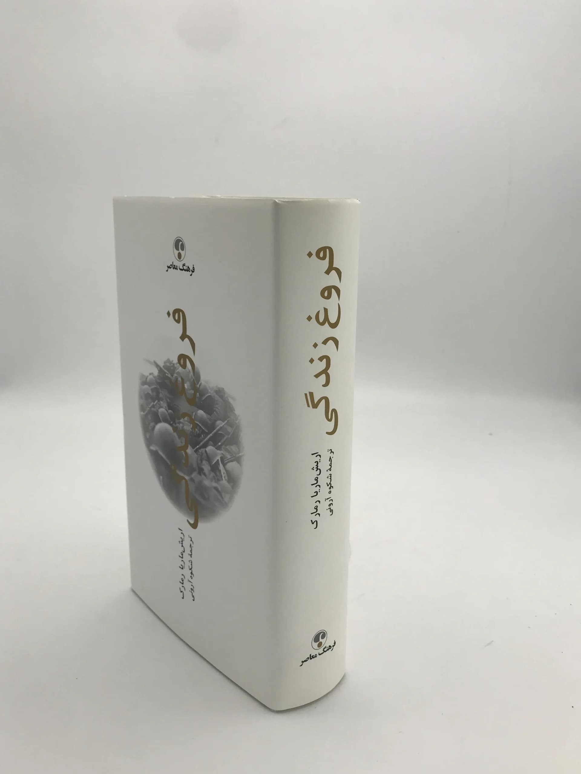 فروغ زندگی نوشته اریش ماریا رمارک — تصویر ۳