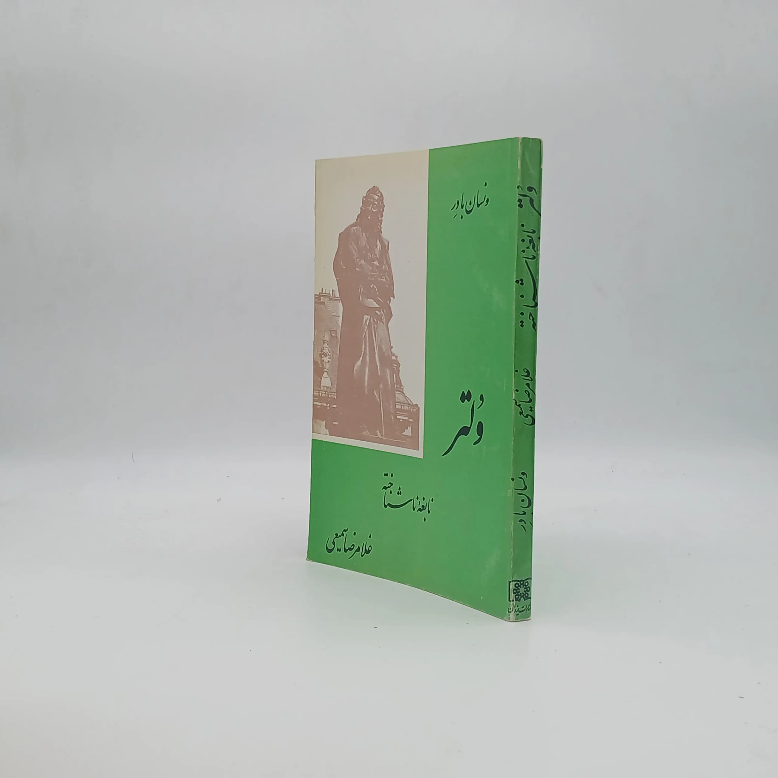 ولتر نابغه ناشناخته — تصویر ۲