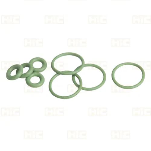 اورینگ سوزن انژکتور پژو 405 (8 تکه وایتون) hic کد 8405