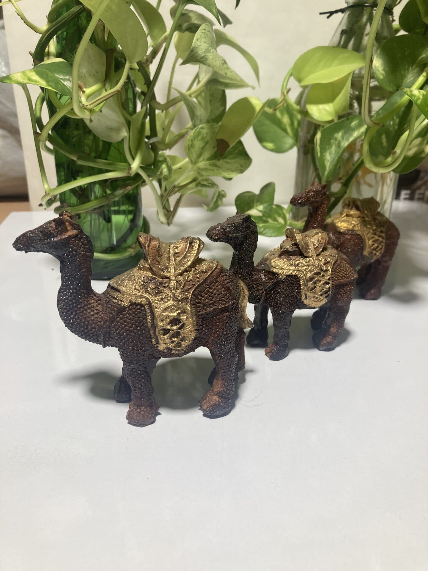 مجسمه شتر سه تیکه — تصویر ۴