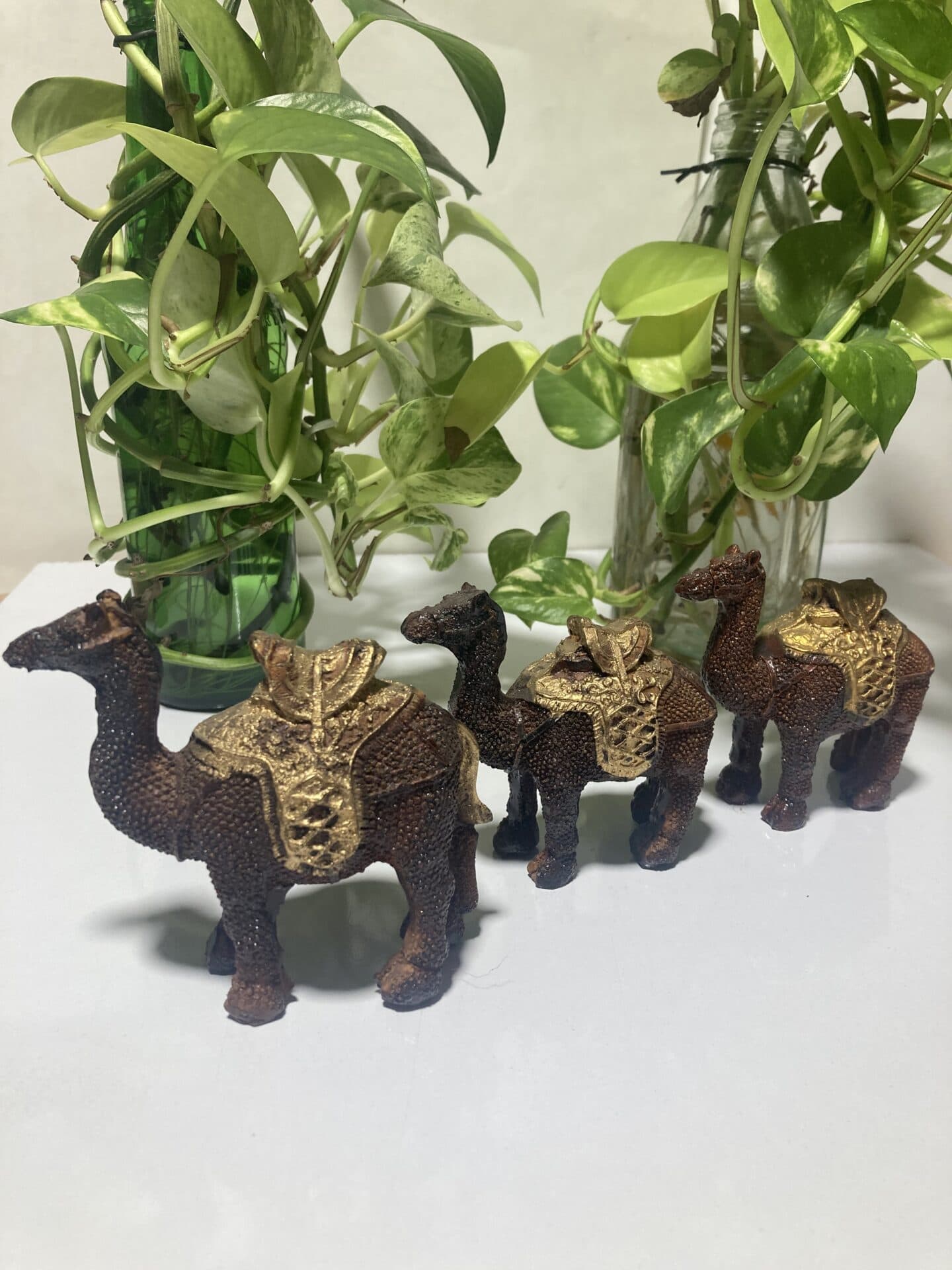 مجسمه شتر سه تیکه — تصویر ۲