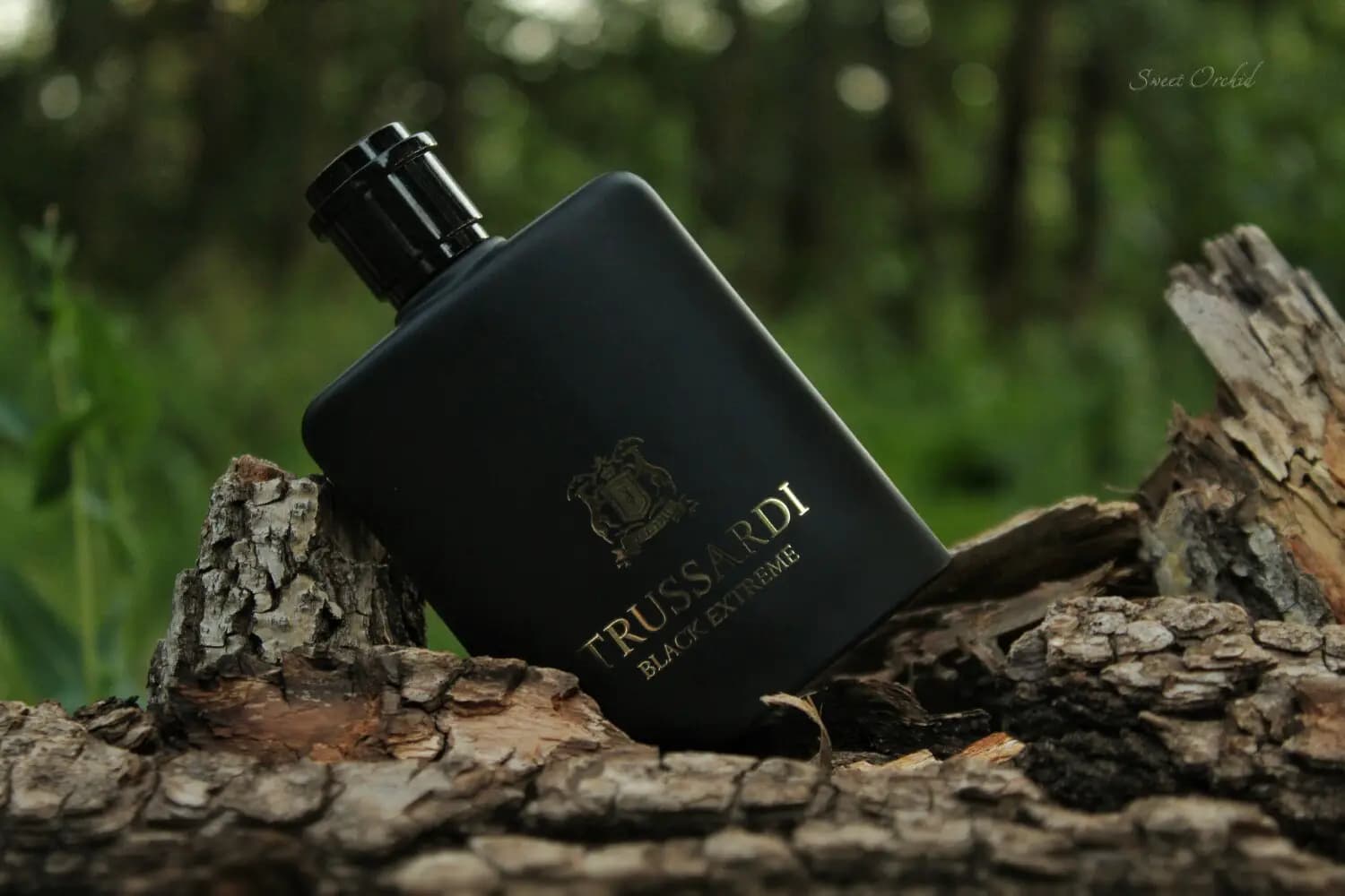 عطر ادکلن تروساردی بلک اکستریم اصل | Trussardi Black Extreme — تصویر ۵