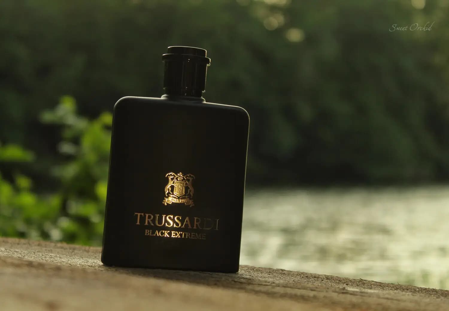 عطر ادکلن تروساردی بلک اکستریم اصل | Trussardi Black Extreme — تصویر ۳
