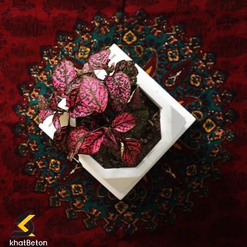 گلدان بقچه بتنی — تصویر ۲