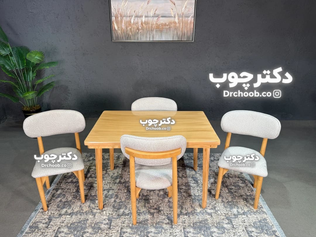 غذاخوری مدل نوبل — تصویر ۶