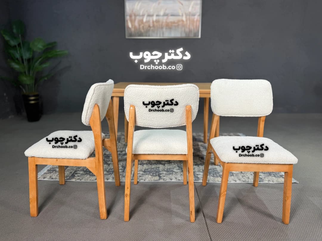 غذاخوری مدل پرومکس — تصویر ۶