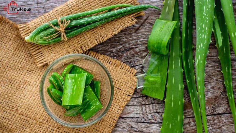 ماسک پودری لاتکسی با عصاره الوئه ورا حجم 200 گرم — تصویر ۴