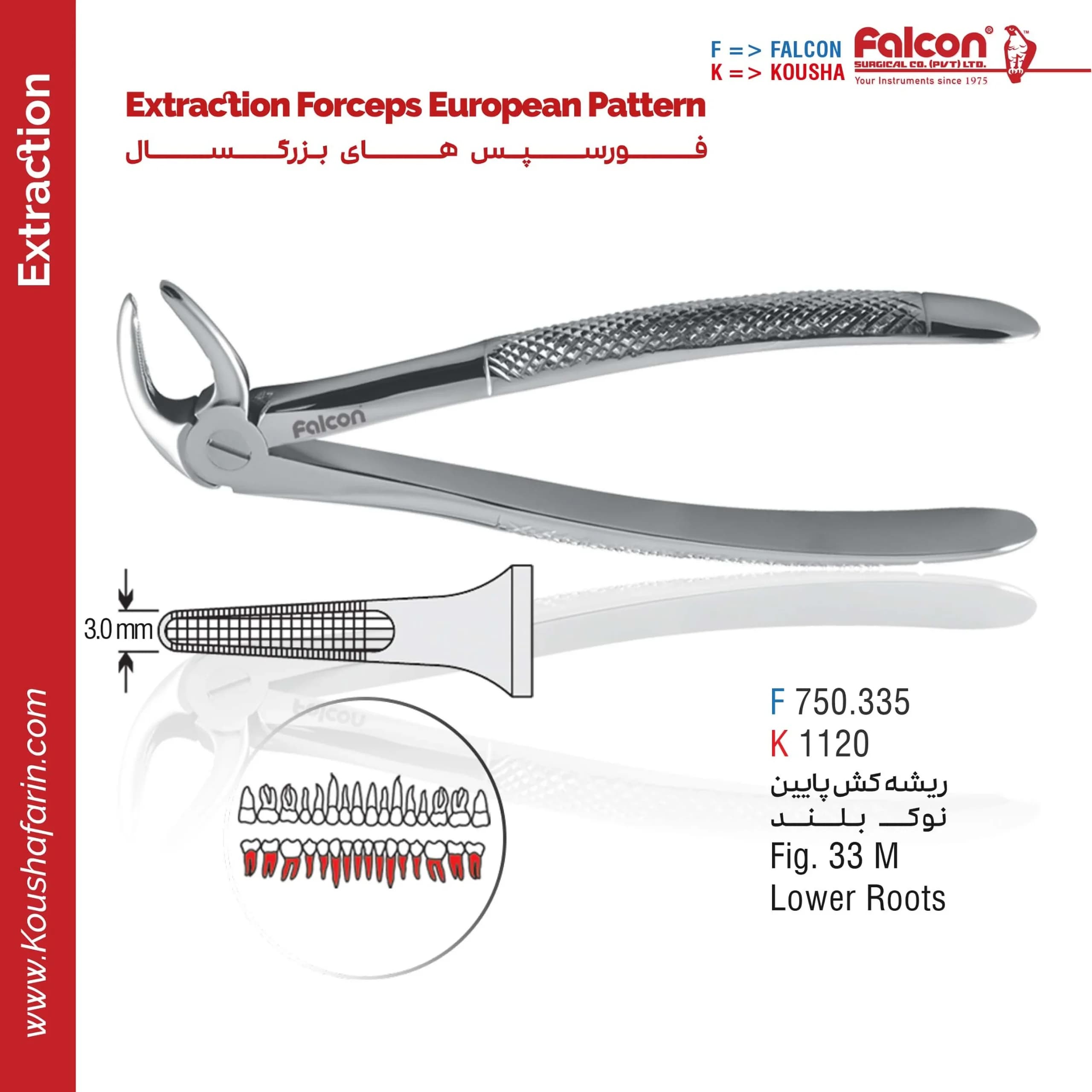 فورسپس ریشه‌کش پایین نوک‌بلند // Fig. 33 M | کوشا