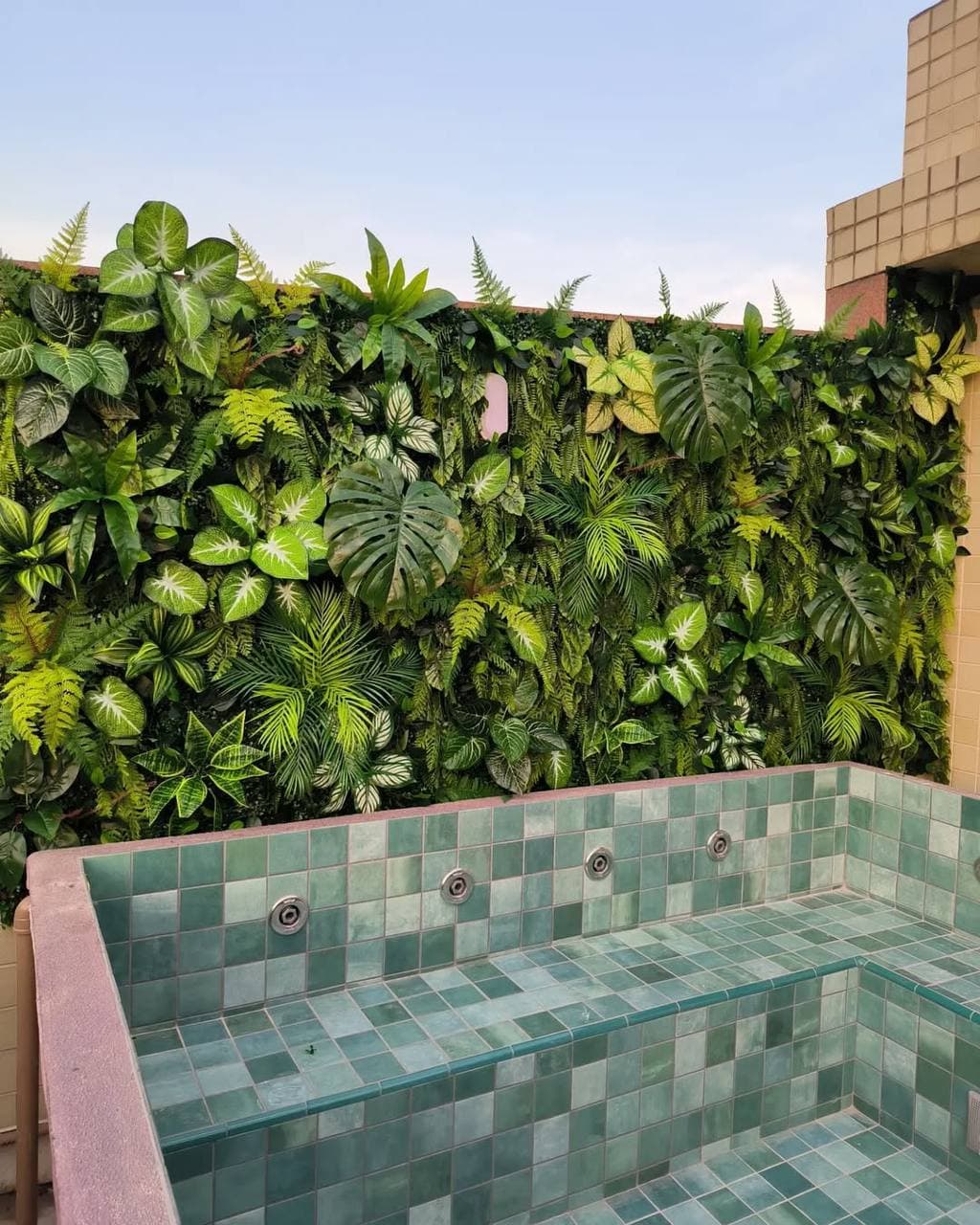 گرین وال مصنوعی استوایی — تصویر ۲