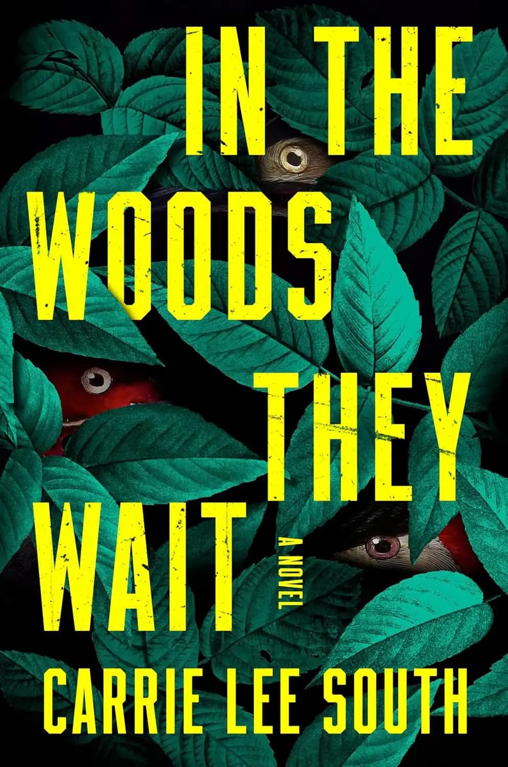 کتاب آن‌ها در جنگل منتظرند (In the Woods They Wait) نسخه انگلیسی PDF | کری لی ساوث