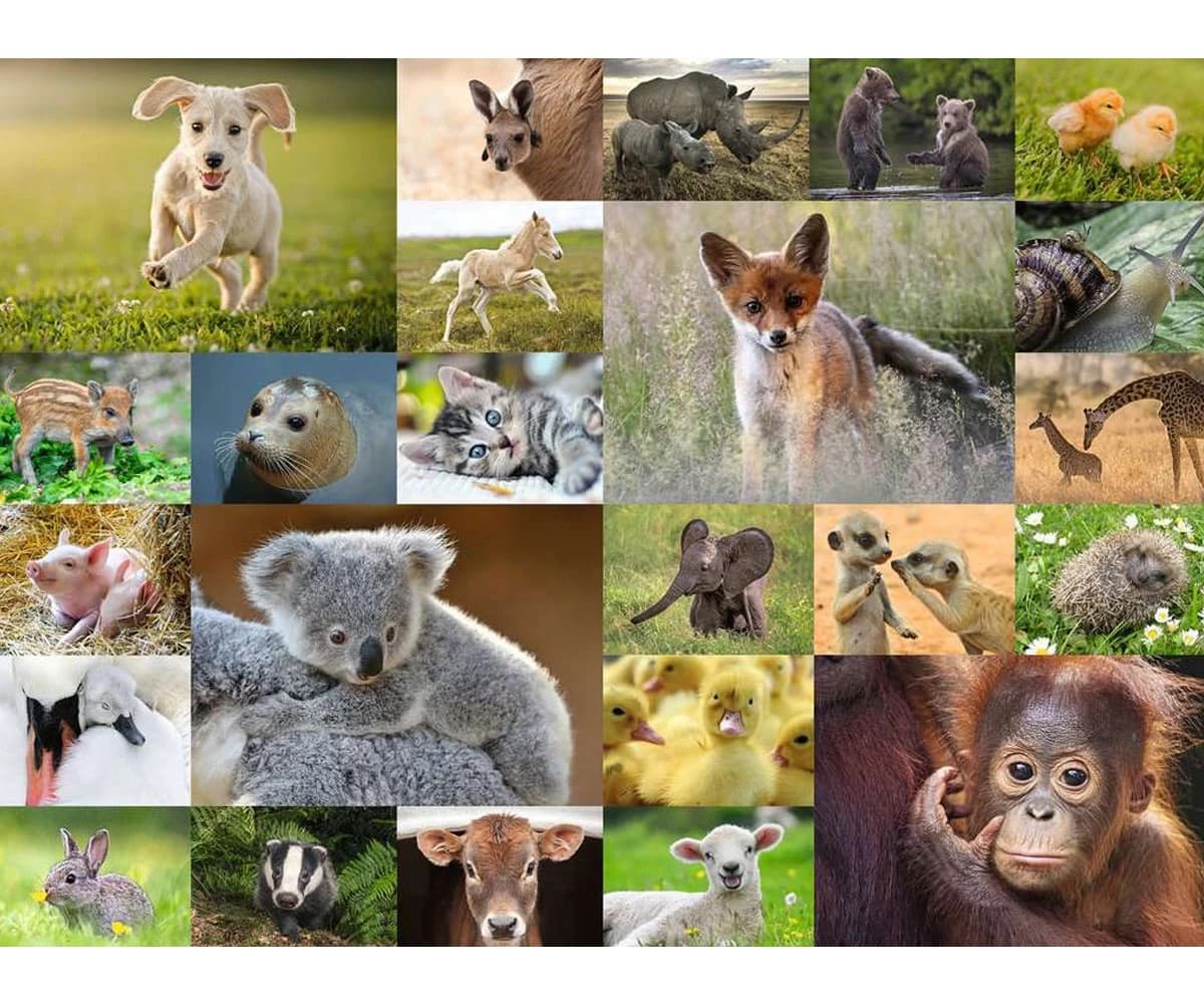 پازل 200 تكه رونزبرگر طرح Baby Animals كد 13353 — تصویر ۲