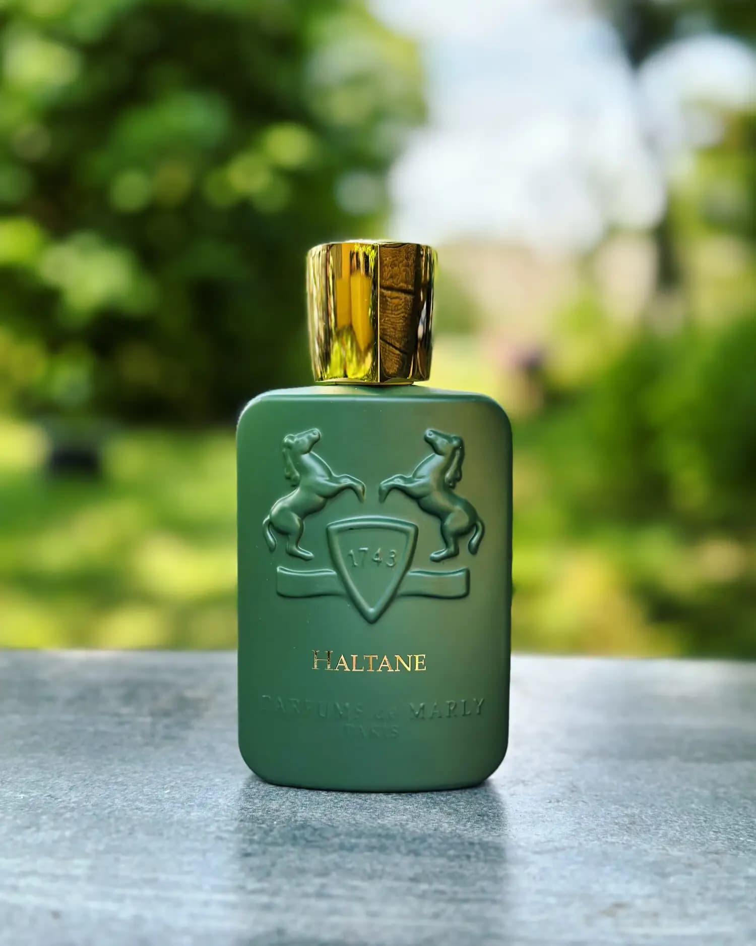 عطر ادکلن پارفومز د مارلی هالتان | Parfums de Marly Haltane — تصویر ۱۰