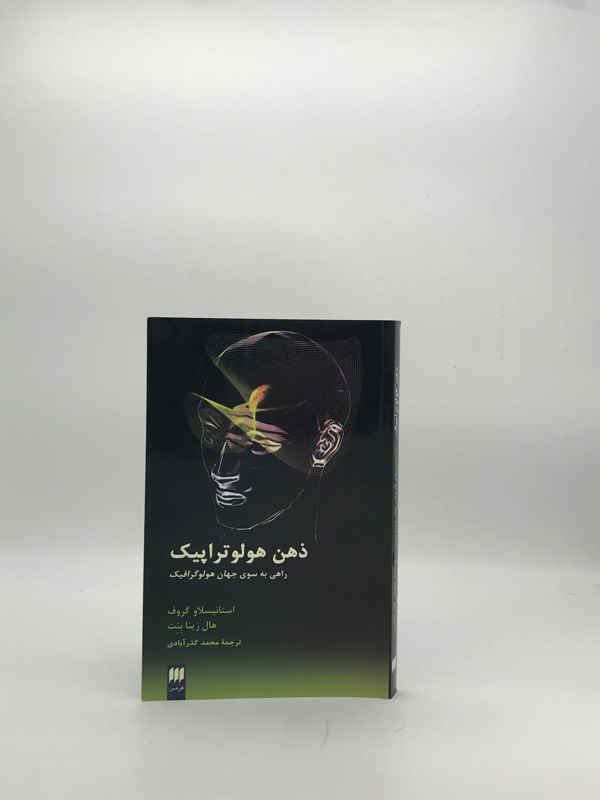 ذهن هولوتراپیک راهی به سوی جهان هولوگرافیک