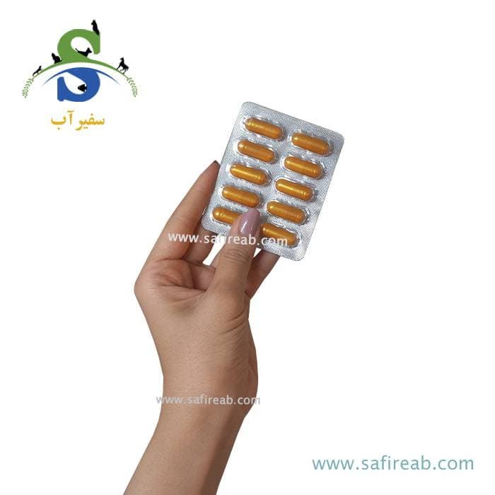 کپسول زرد مخصوص آروانا و سفره ماهی اوشن فری کد MD353 — تصویر ۲