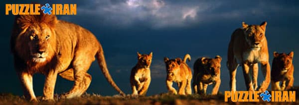 پازل ۱۰۰۰ تکه پانوراما خانواده شیرها