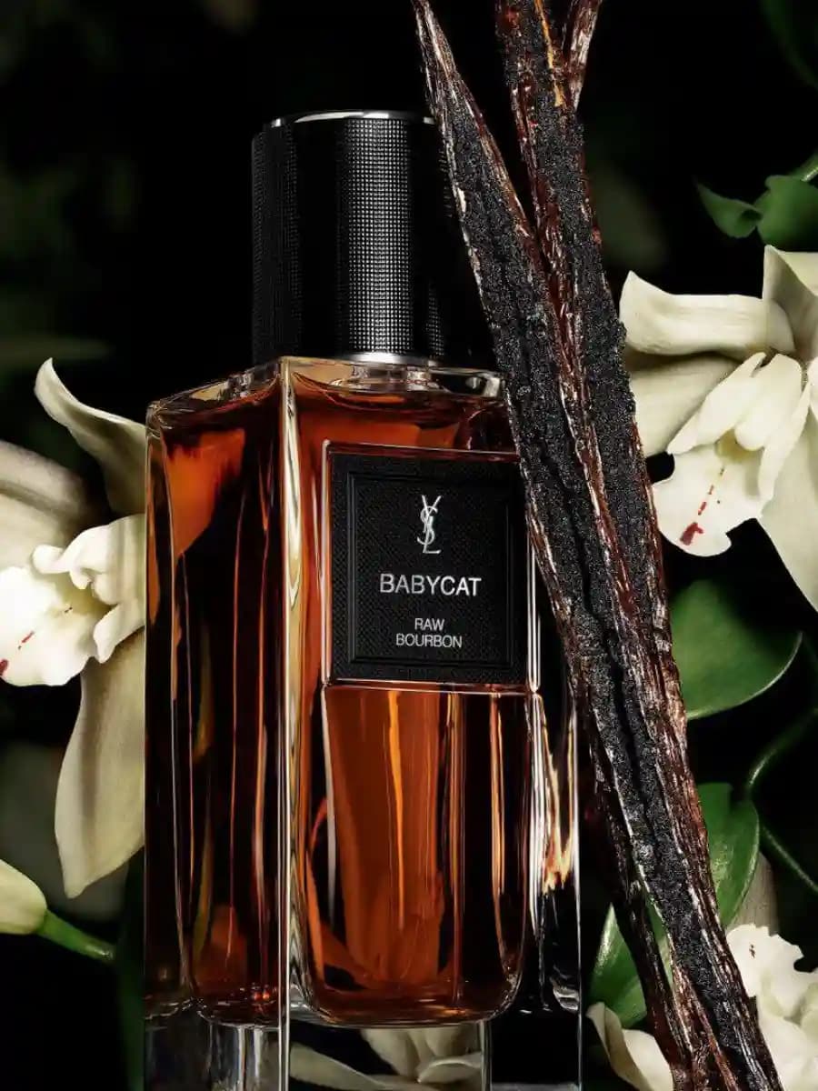 عطر بیبی کت راو بوربن ایو سن لورن | Yves saint laurant Babycat Raw Bourbon — تصویر ۳