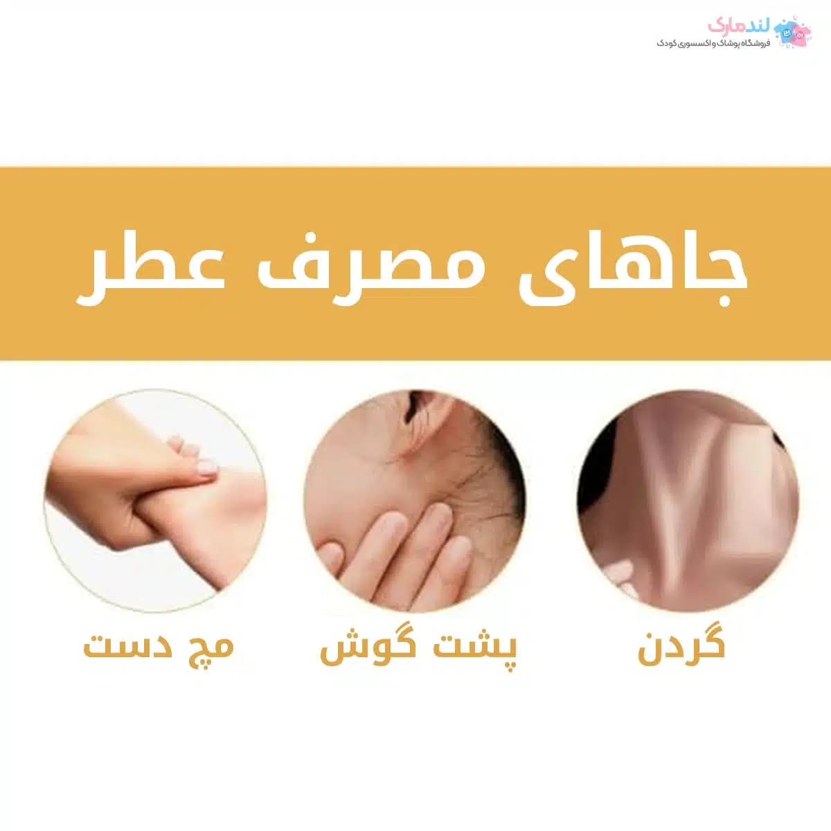عطر رولی الماس French Fragrance حجم ۶ میل بدون الکل — تصویر ۴