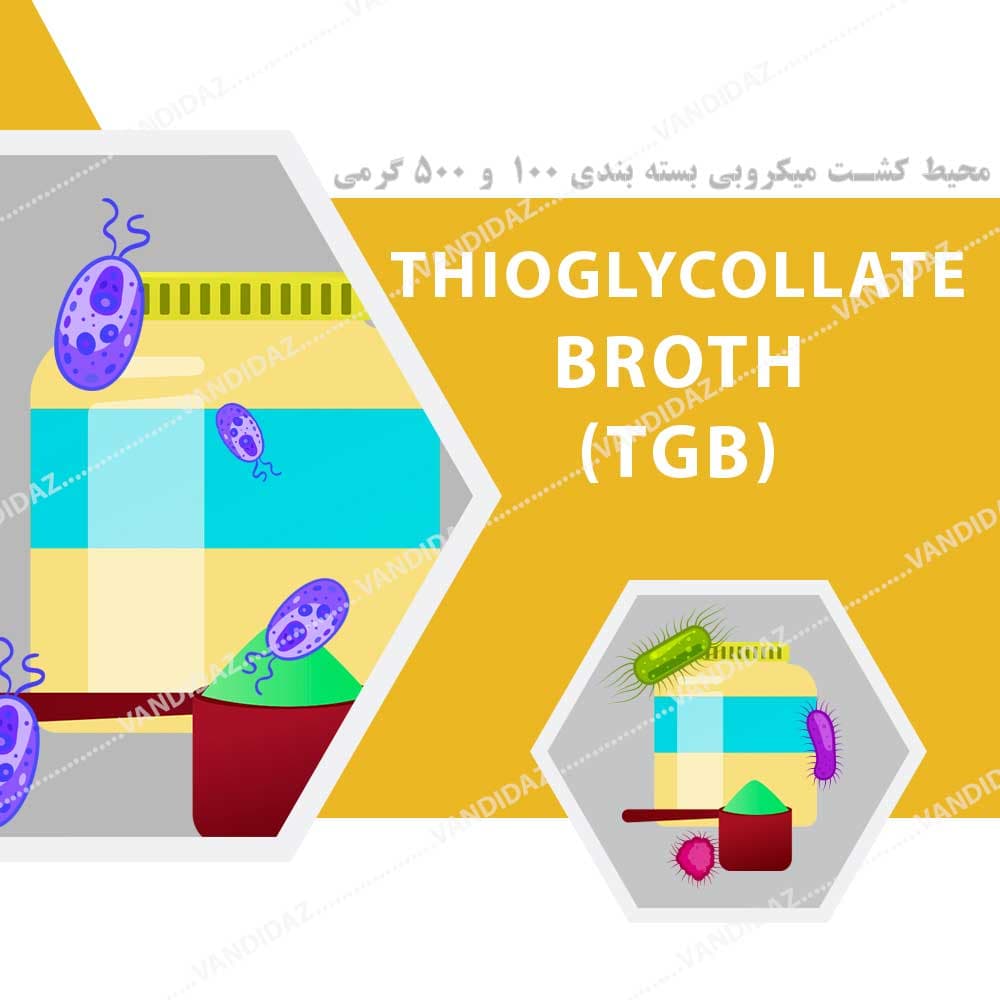 محیط کشت TGB – تایوگلیکولات براث