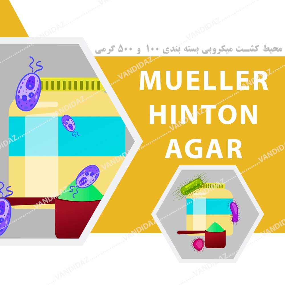 محیط کشت مولر هینتون آگار – Mueller Hinton