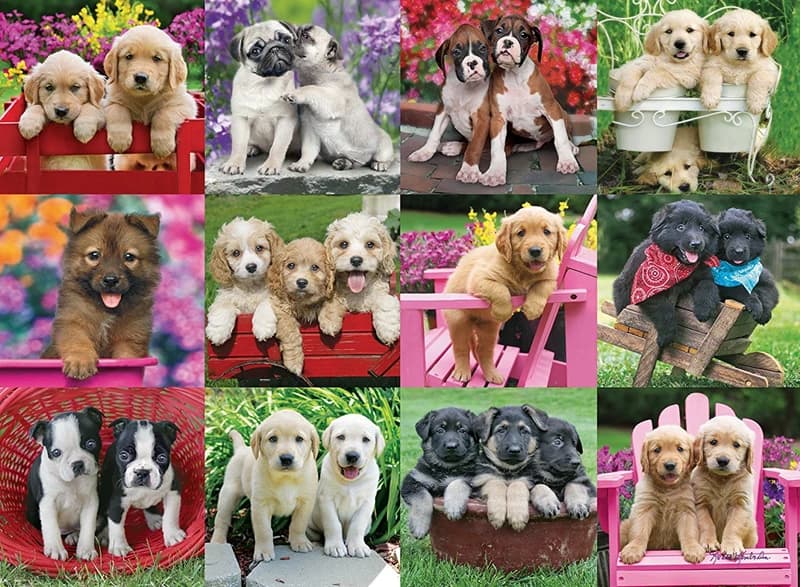 پازل 500 تكه رونزبرگر طرح Puppy Pals كد 14659 — تصویر ۲