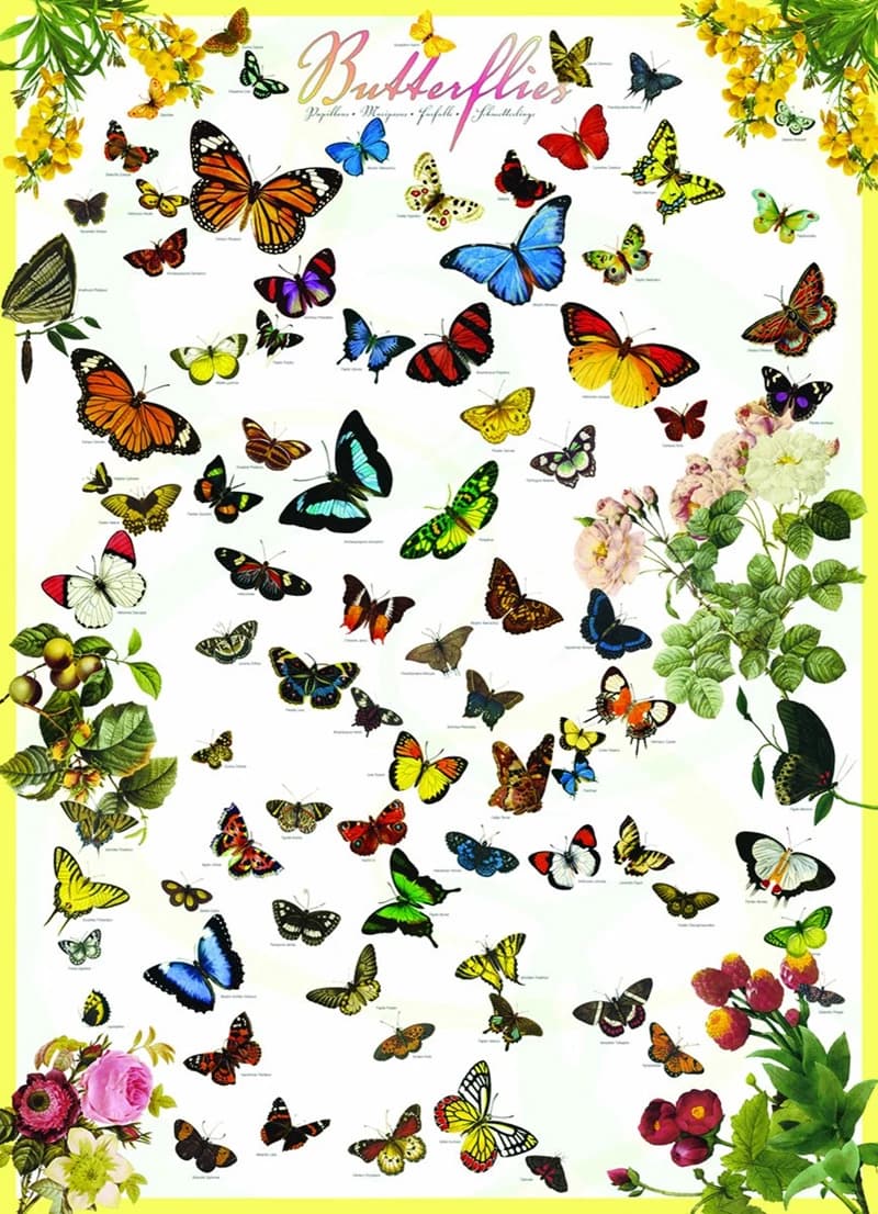 پازل 1000 تكه یوروگرافیک طرح Butterflies كد 0077-6000 — تصویر ۲