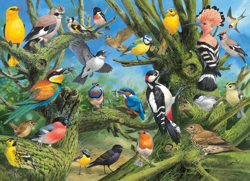 پازل 1000 تكه یوروگرافیک طرح Garden Birds كد 0967-6000 — تصویر ۲