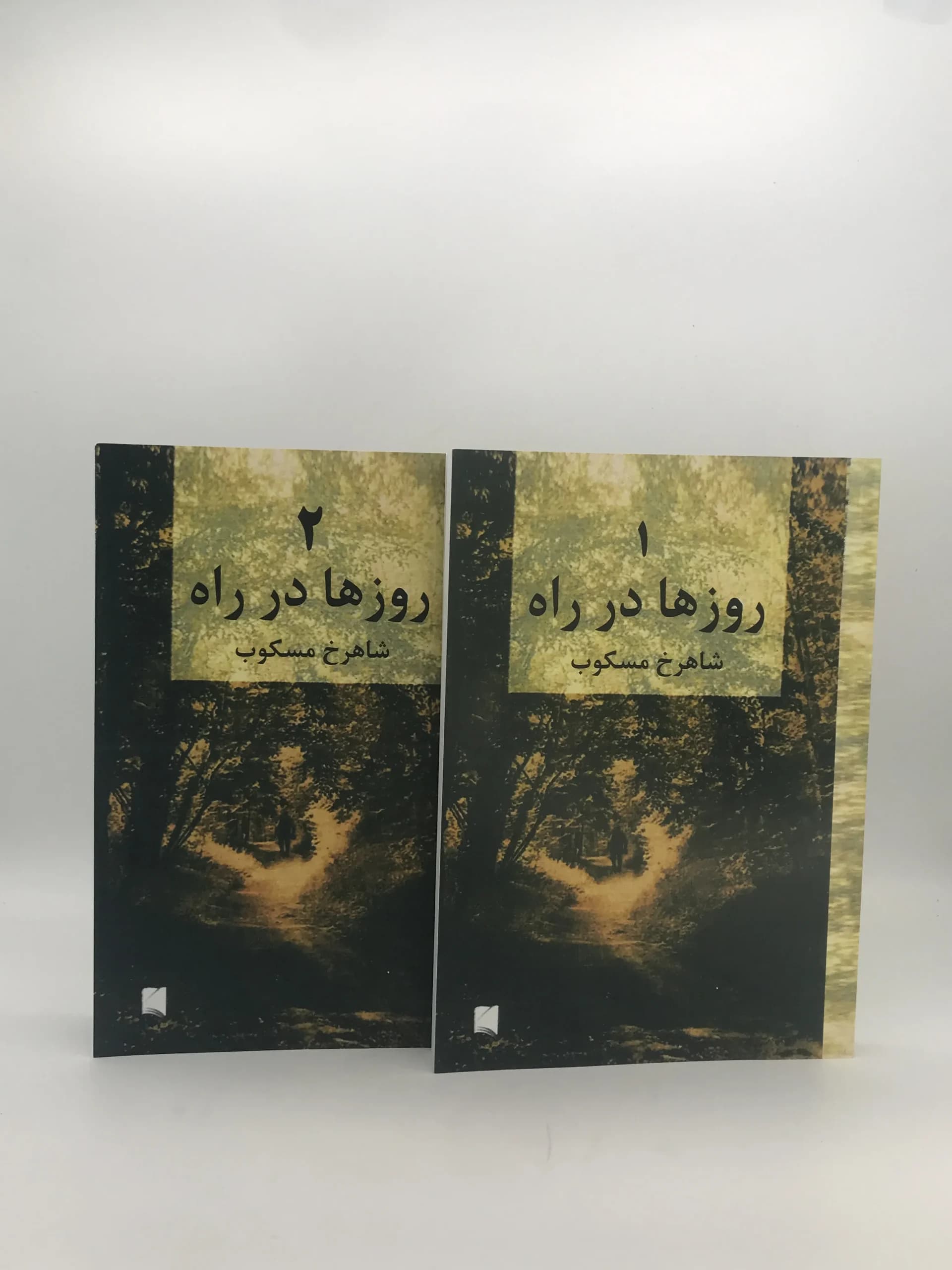 روزها در راه (دوره 4 جلدی)