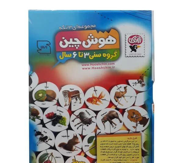 بازی آموزشی زاغک مدل هوش چین 03 کد 017
