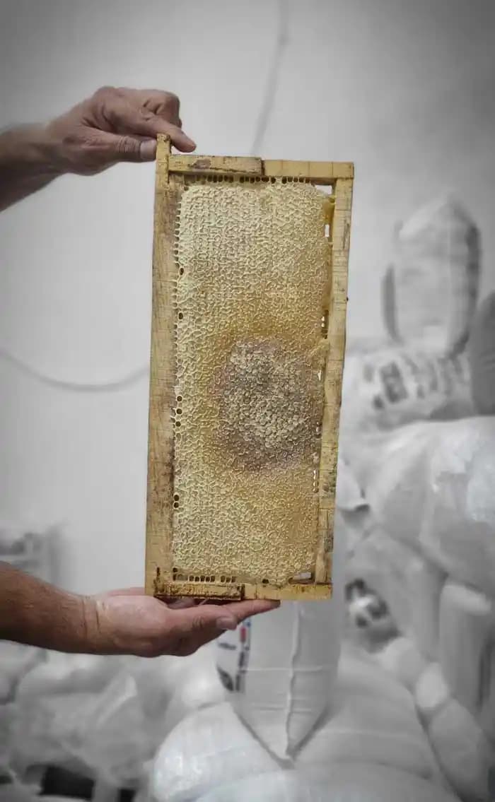 عسل طبیعی ممتاز اردبیل با موم یک کیلویی