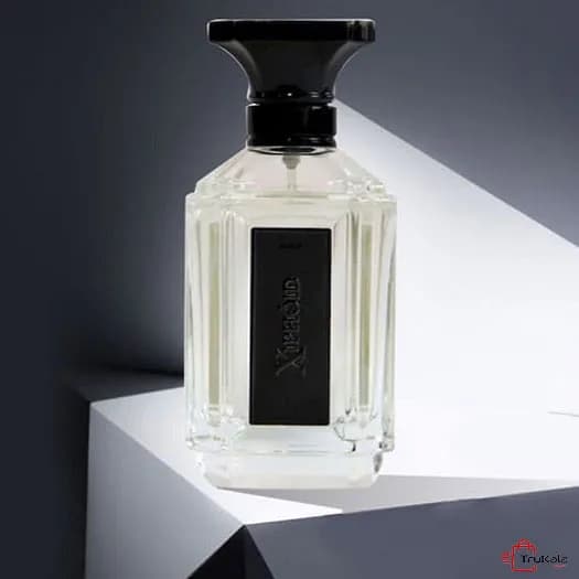 ادوپرفیوم مردانه بلک زیفوید 100 میل Xiphoid — تصویر ۲