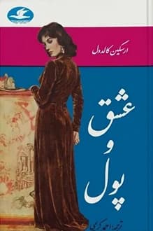 کتاب عشق و پول – نویسنده ارسکین کالدول — تصویر ۲
