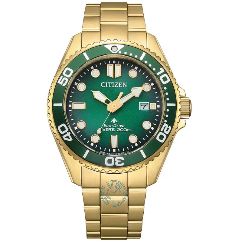 ساعت مچی مردانه سیتیزن CITIZEN BN0262-59W