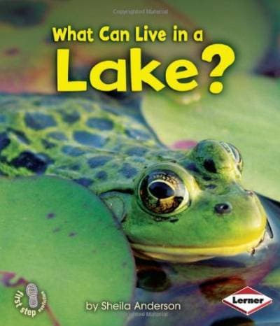 کتاب What Can Live in a Lake? (First Step Nonfiction: Animal Adaptations) نسخه کامل