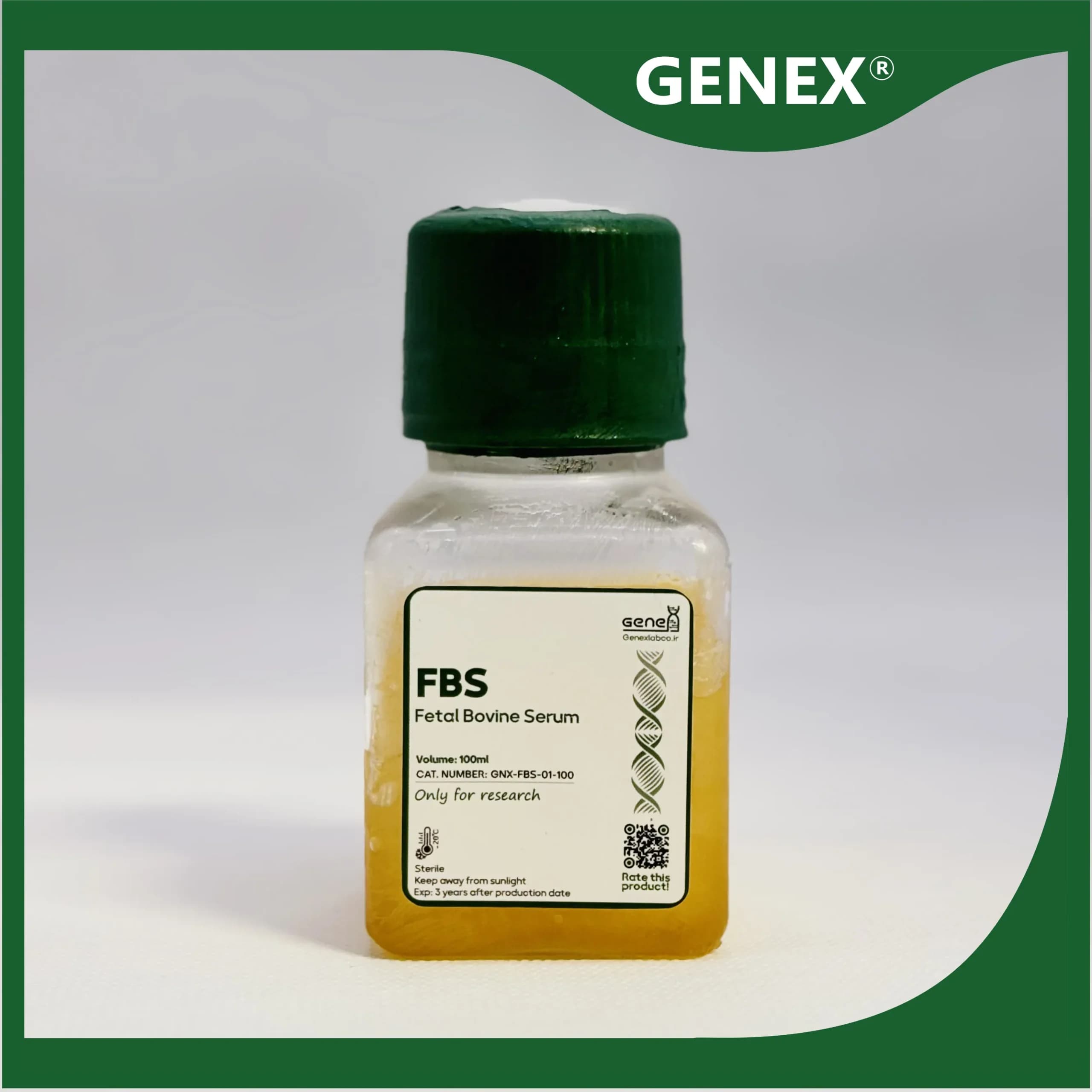 FBS (سرم جنین گاوی)