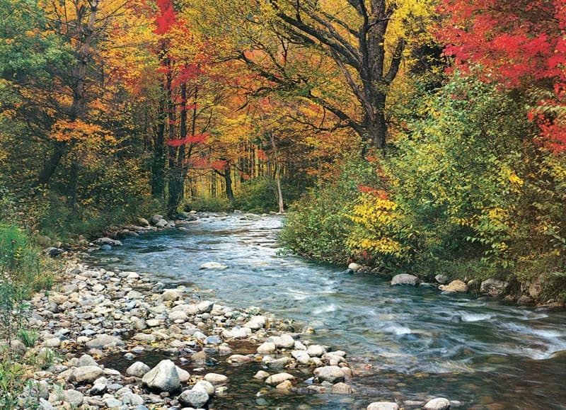 پازل 1000 تكه یوروگرافیک طرح Forest Stream كد 2132-6000 — تصویر ۲