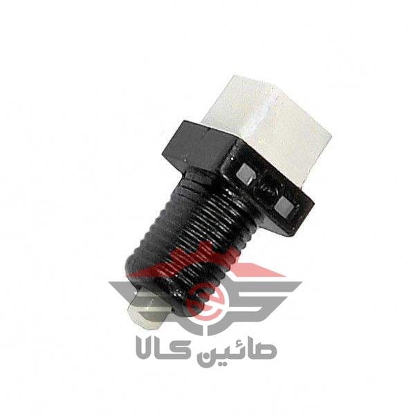 فشنگی ترمز 405 — تصویر ۲