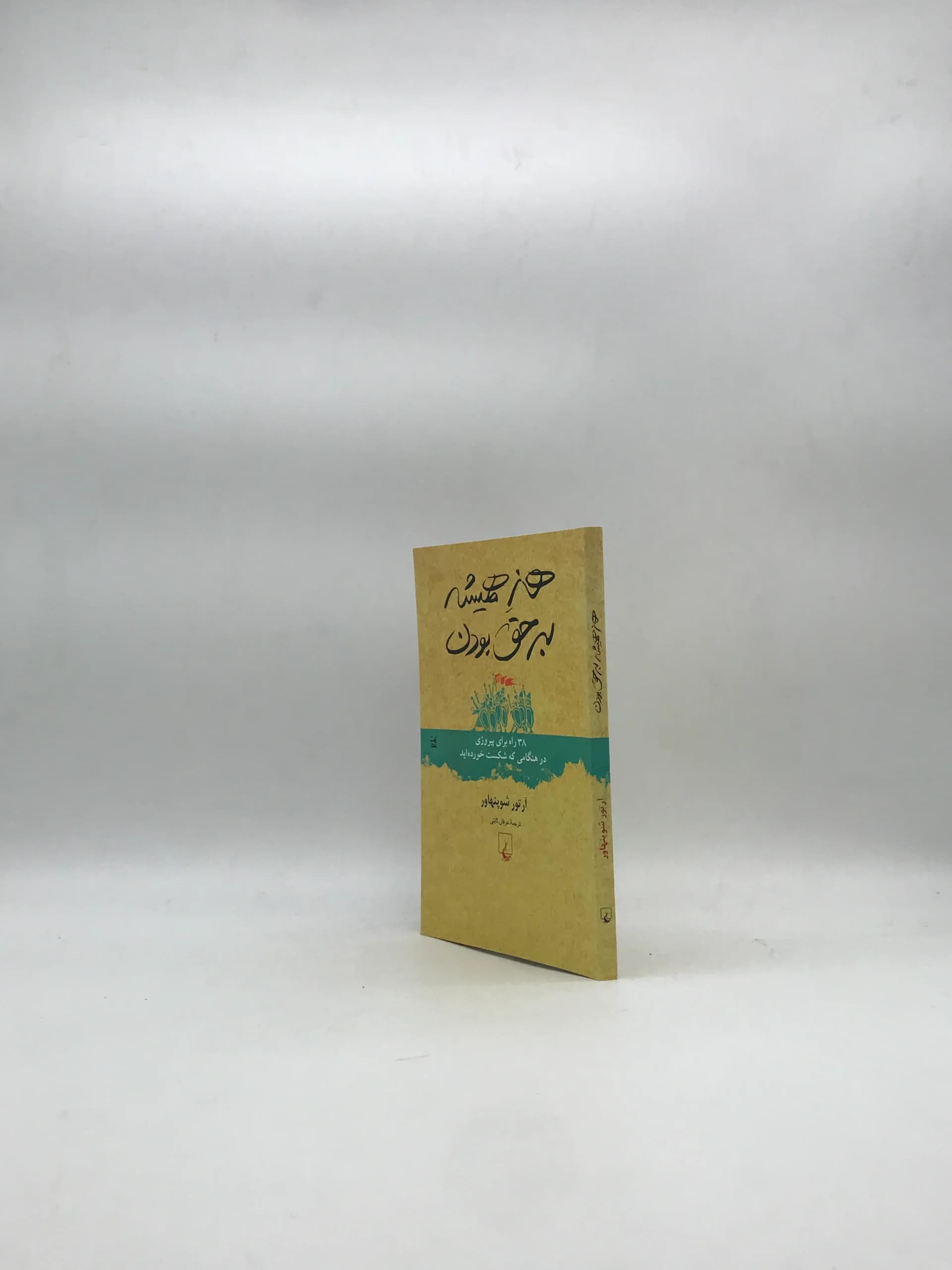 هنر همیشه به حق بودن — تصویر ۳